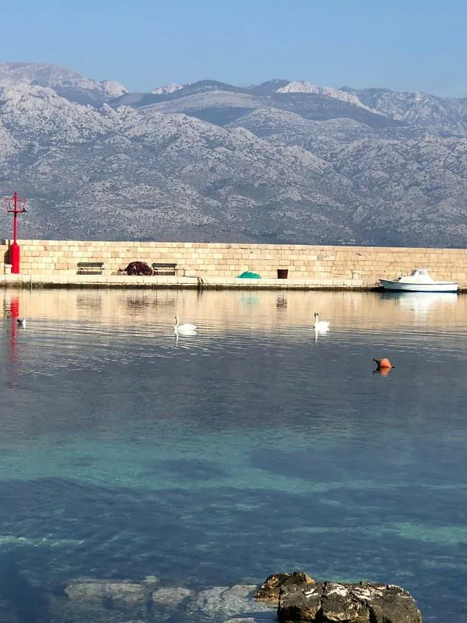 Apartment Miro Apartmani Razanac Croatia